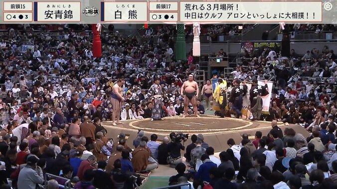 【写真・画像】　1枚目