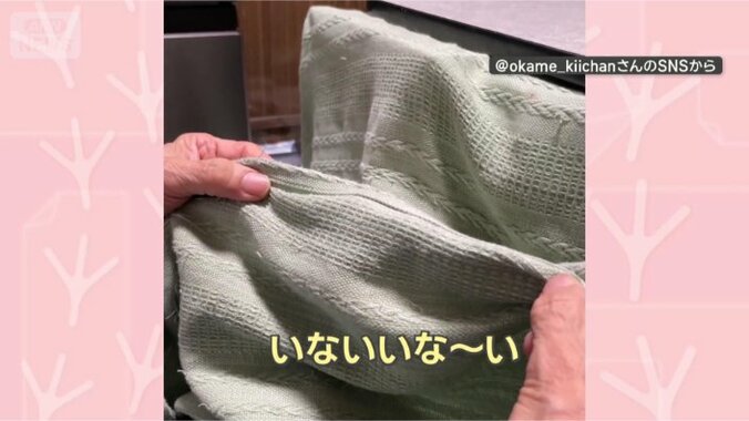 いないいな～い