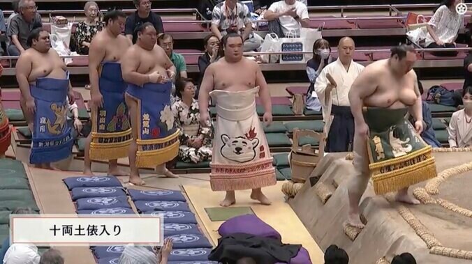 シロクマのデザインが施された化粧まわし