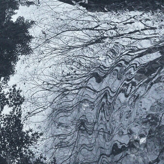 【写真・画像】　1枚目