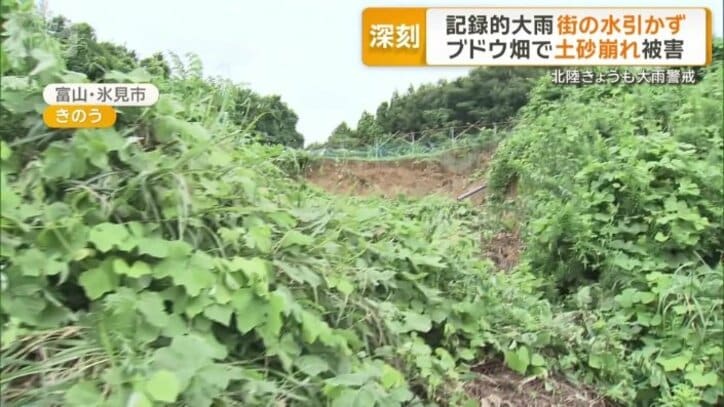 ブドウ畑で土砂崩れ被害