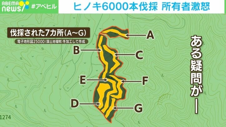 「頭にきている」「何のためにしたのか」間伐のはずが… 勝手にヒノキ6000本伐採 所有者激怒