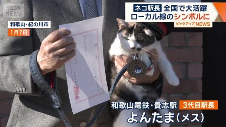「よんたま」が就任
