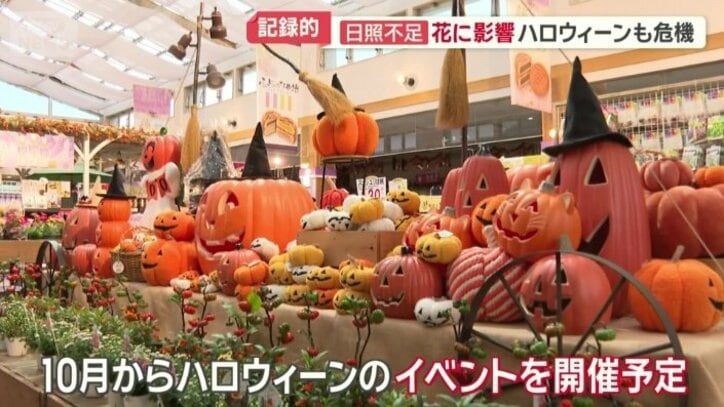 10月からハロウィーンイベント開催予定