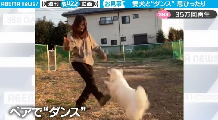 犬と飼い主が息ピッタリの“ペアダンス” 多彩な動きに「観てて幸せになります!」癒やされる人続出