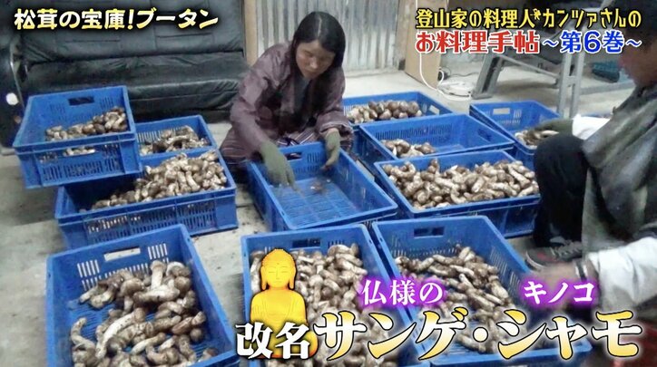 【写真・画像】　2枚目