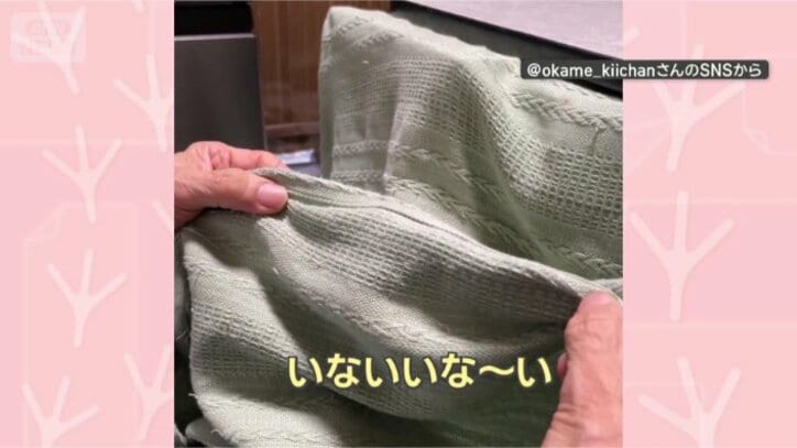 いないいな～い