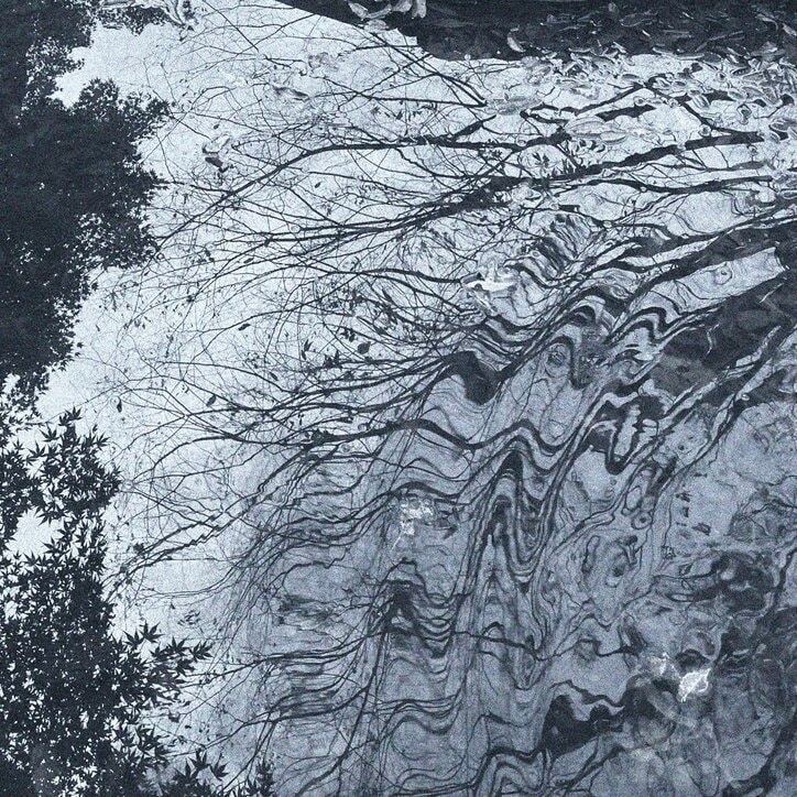 【写真・画像】 1枚目