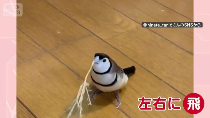 草をくわえて左へ…