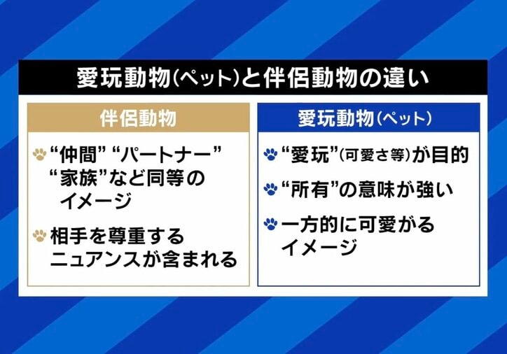 【写真・画像】　2枚目