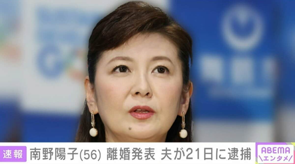 南野陽子離婚