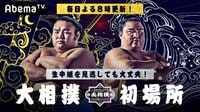 2019年 大相撲初場所 | 動画視聴は【Abemaビデオ(AbemaTV)】