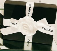 渡辺美奈代『今年のお財布』