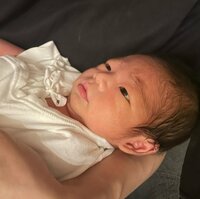 しょうくん『再三再四、夢遊。』