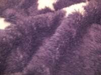 クリス松村『今年もゼロで』