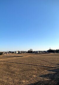 北斗晶『いい色になりました。』