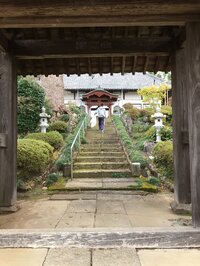 ダンカン『■メリ～ メリ～ お墓まいり』