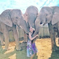 AHN MIKA『旅を回顧するシリーズ~南アフリカ共和国part2』