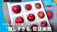 Twitterで話題！ 難しすぎる認証画面