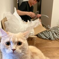 しょうくん『ハンガーを変えたら桃のクローゼットが・・・!?』