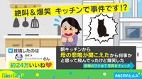 【映像】「母の悲鳴が…」キッチンの引き出しに侵入した猫
