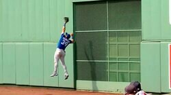 フェンス激突の“流血ファインプレー”に敵軍ファンも拍手喝采！　ブルージェイズのゴールドグラバーが負傷覚悟のビッグジャンプ・キャッチで魅せた“メジャー魂”