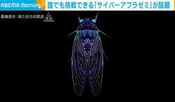 本物のセミが“サイバー”に光る？ まるでアートのような模様を生み出す現象に“6万いいね”の反響