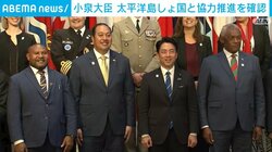 小泉大臣 太平洋島しょ国と協力推進を確認