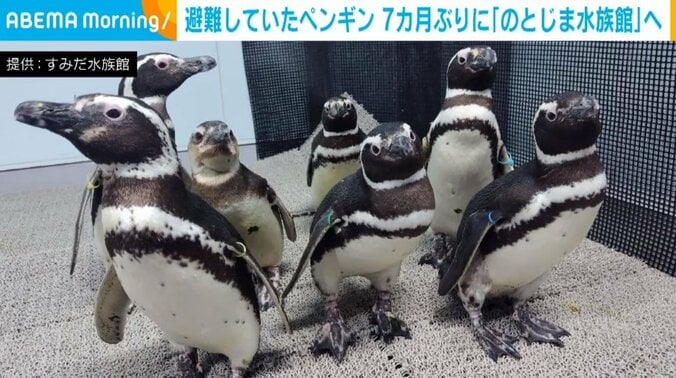 【写真・画像】　1枚目