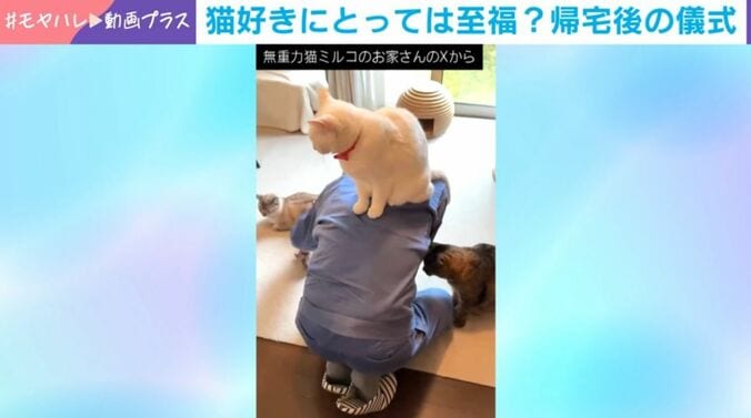儀式の様子