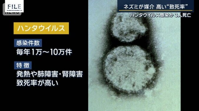 感染リスク