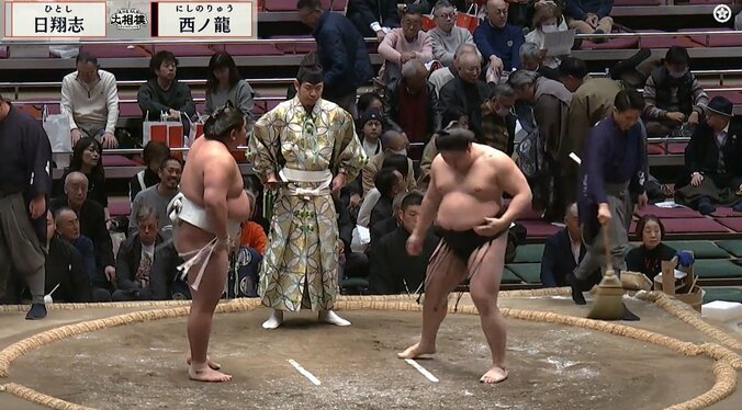 「行司のサイズ感がおかしいw」「行司デカっ」十両取組で驚きの光景 身長180センチ超の力士よりも行司がデカく見えた一コマ 2枚目