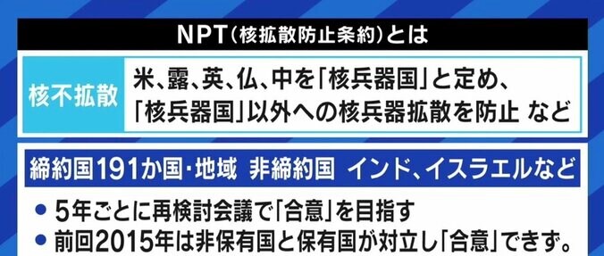 「“ウクライナが核を保有していれば侵攻されなかった”は危険な議論だ」 “核なき世界”へ、日本と岸田総理の道筋は 2枚目