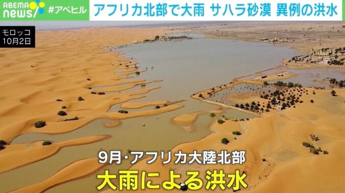 【写真・画像】サハラ砂漠で洪水！？ 「2日で1年の降水量」でまるで“川”に アフリカ北部　1枚目