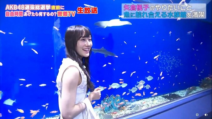 NMB48矢倉楓子、可愛すぎる素顔を披露　総選挙は「もう出たくないと思っていた」 12枚目