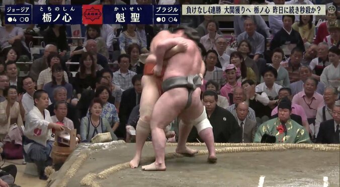 栃ノ心は「心身が最高の状態にある」立田川親方　ファン「これは全勝優勝もあるな」 1枚目