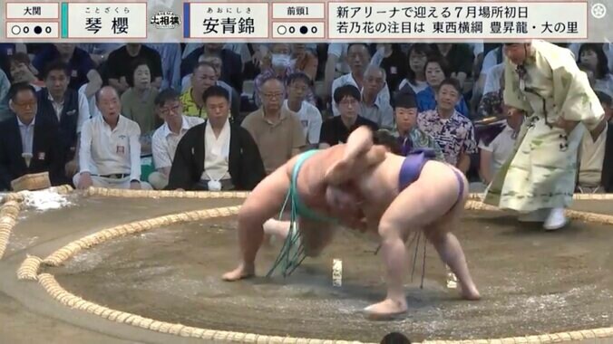 珍手で大関を撃破した安青錦