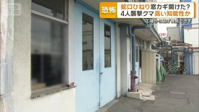 ガラスを割って突進して出てきた場所