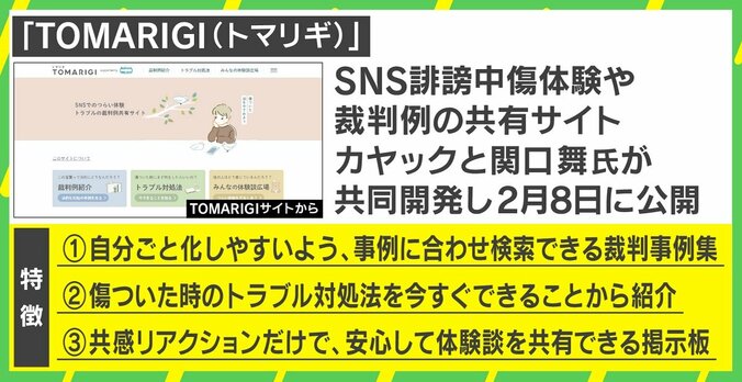 SNSの誹謗中傷体験や裁判例を共有するサイト「TOMARIGI」が公開 共同制作者の関口舞氏「似た事例を知れば距離をおけるのでは」 2枚目