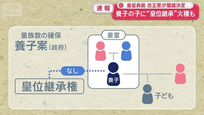 皇室典範　改正案が閣議決定も…皇位継承めぐり“残る火種” 1枚目