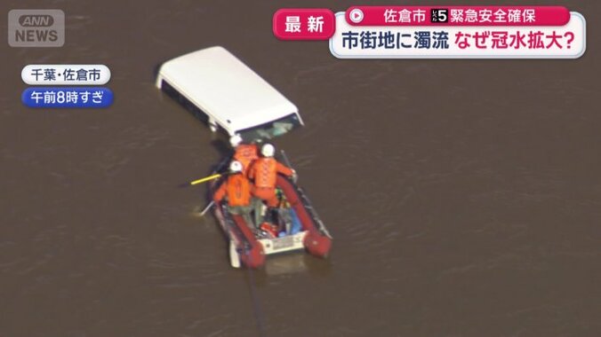 白い屋根だけが見える車