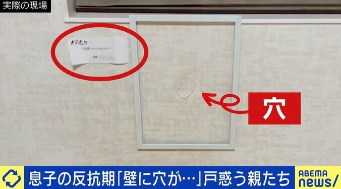 「反抗期」がない子どもが増加？ 経験しないことによる弊害も？ 22歳で迎えた当事者「“私は自立した大人”という考えは幻想だった」 3枚目