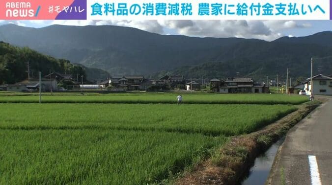 田んぼ