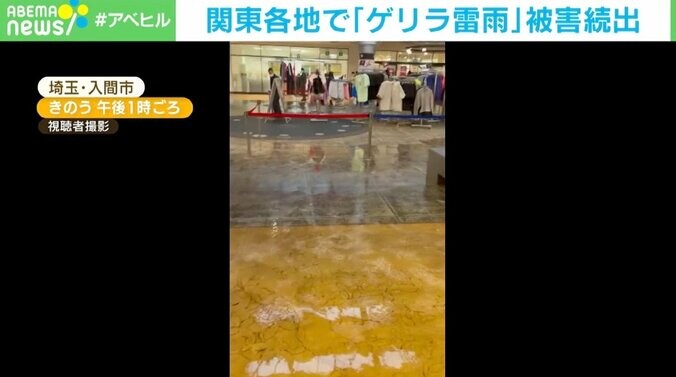 道路が冠水、倒木直撃で納屋が半壊…関東各地で「ゲリラ雷雨」による被害続出 1枚目