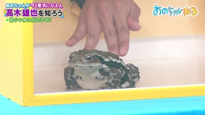 恐怖のあまり思わず…人気アイドルグループメンバー “箱の中身当てクイズ”で衝撃のリアクション 5枚目