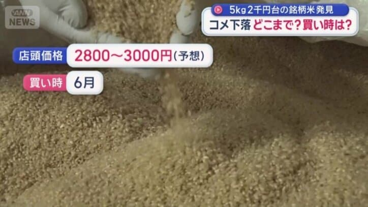 「6月がピーク」