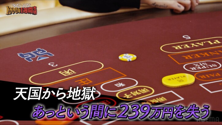 【写真・画像】　15枚目