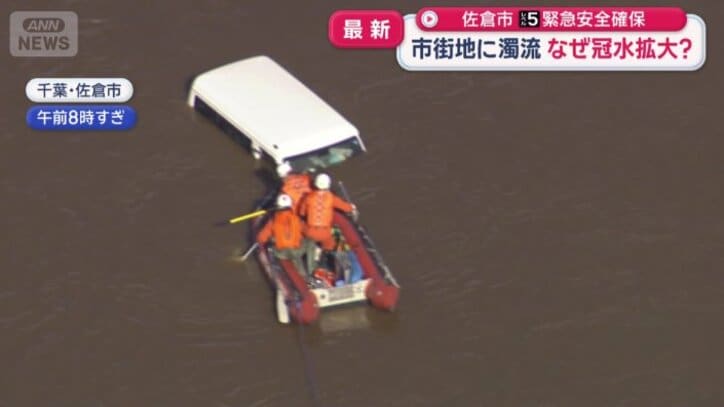 白い屋根だけが見える車