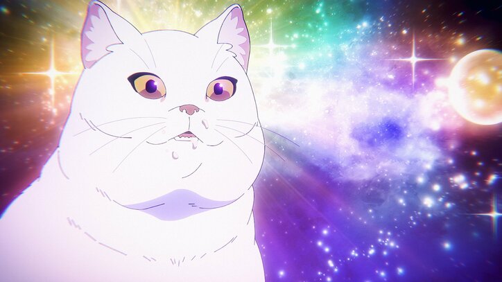 【写真・画像】　1枚目