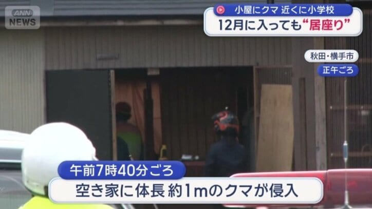 空き家の小屋に体長およそ1メートルのクマが侵入